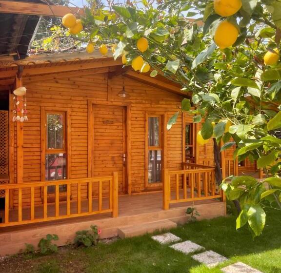 بانگلوی لوکس, Cilek Butik Otel