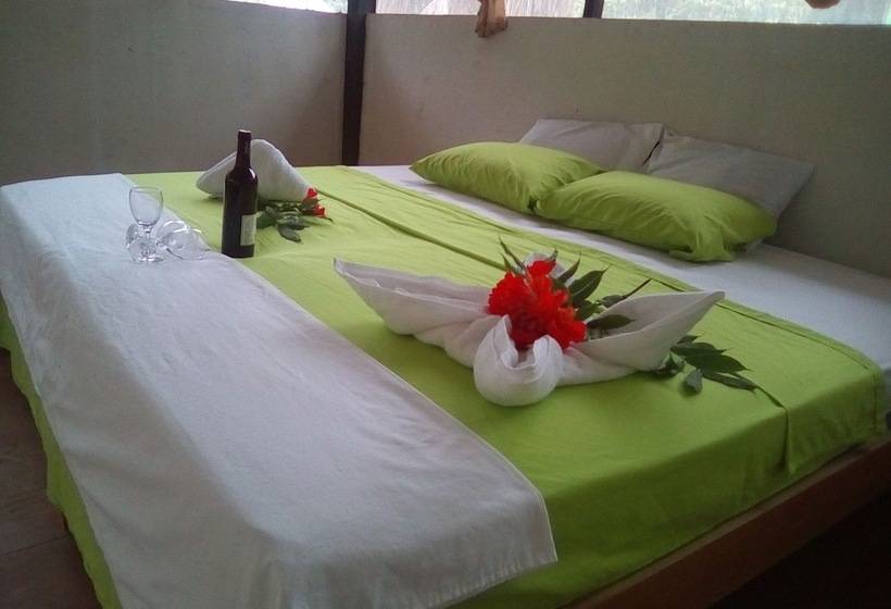 سوییت, Amazon Canopy Expeditions Ecolodge