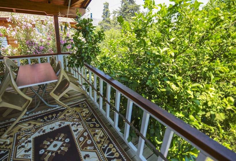 Vila Superior 1 Quarto, Cirali Villa Zeytin