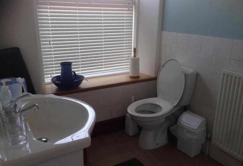 Номер Deluxe Одноместный, Glanllifon B&b