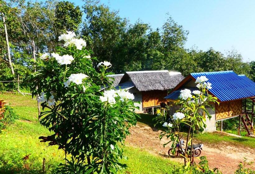 ویلای استاندارد با چشم‌انداز باغ, Good Morning Bungalow