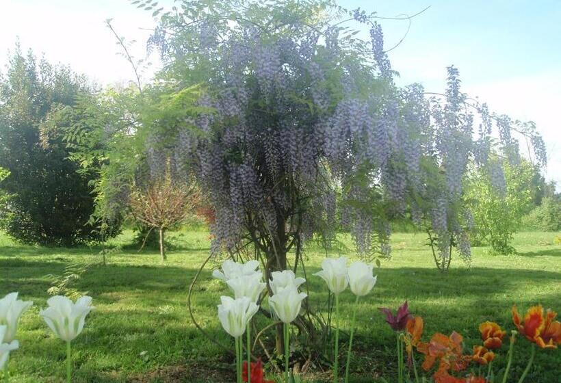 Номер Стандарт Вид на Сад, Domaine Mongiron