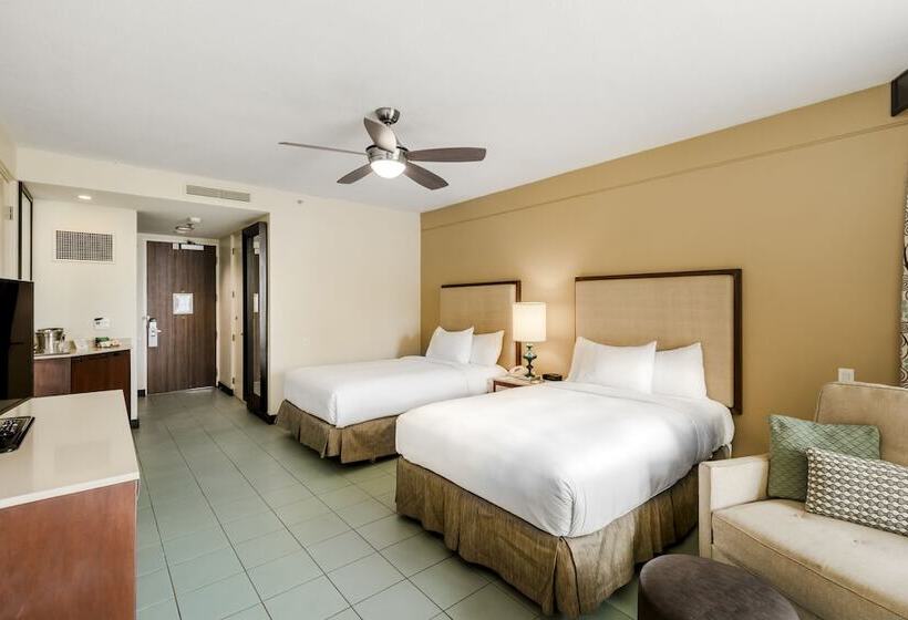 اتاق استاندارد برای معلولان, Hilton Ponce Golf & Casino Resort