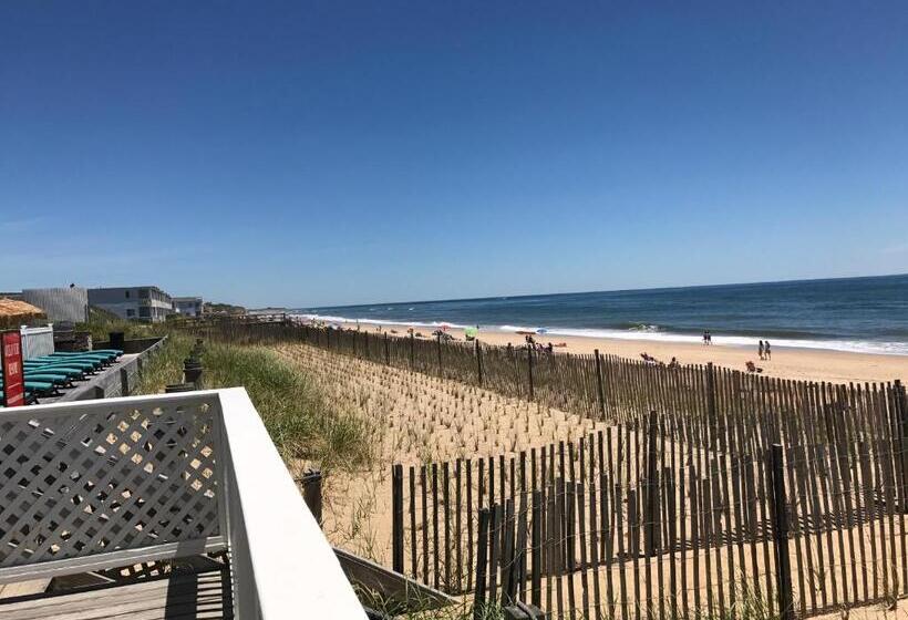 Студия Стандарт, Ocean Surf Resort