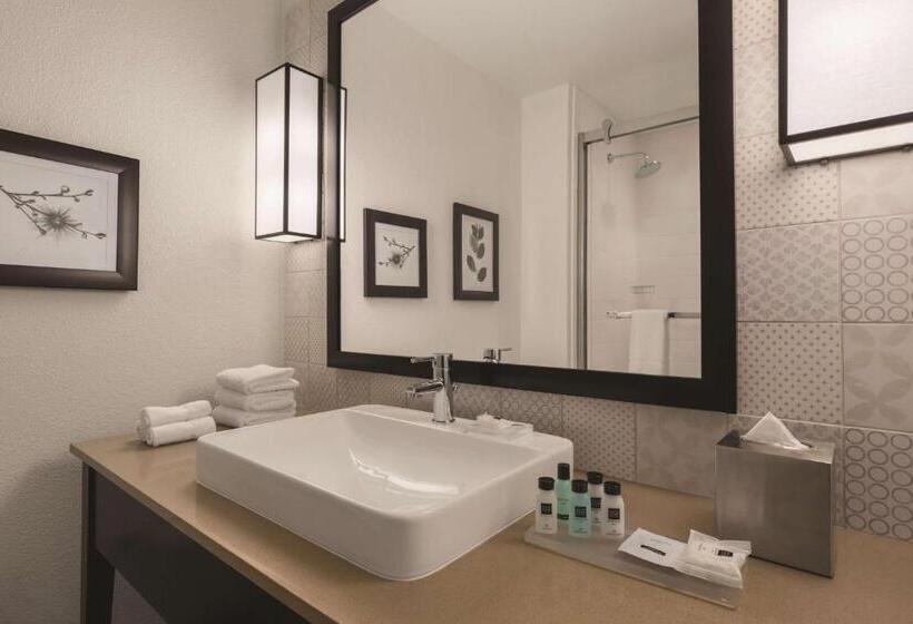 اتاق استاندارد با تخت بزرگ, Country Inn & Suites By Radisson, Lubbock Southwest, Tx