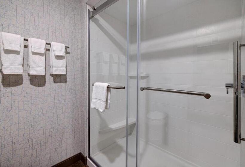 Люкс, Holiday Inn Express & Suites   Brighton, An Ihg