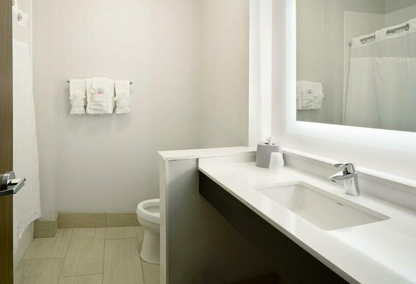 Люкс Адаптированный для Инвалидов, Holiday Inn Express & Suites   Wentzville St Louis West, An Ihg
