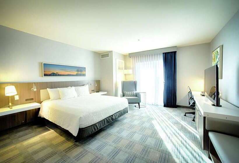 스탠다드 룸 킹사이즈 침대, The Axis Moline Hotel, Tapestry Collection By Hilton