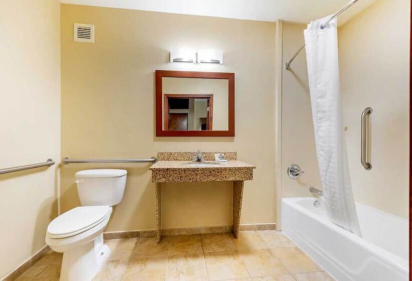 Люкс Адаптированный для Инвалидов, Comfort Inn & Suites