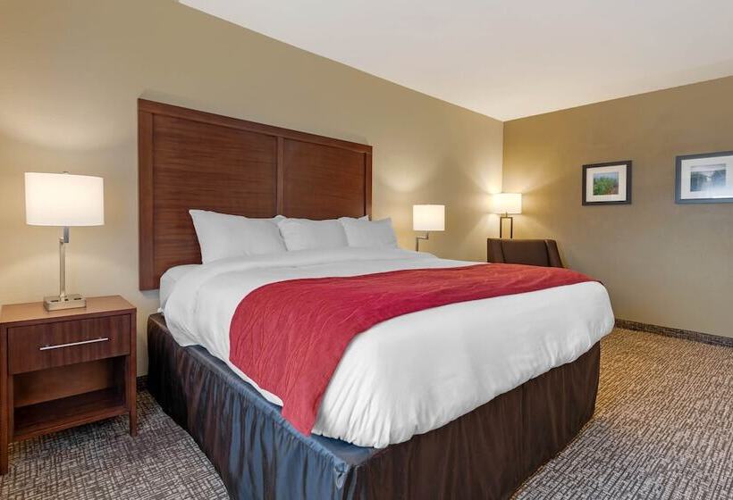 Люкс Адаптированный для Инвалидов, Comfort Inn & Suites
