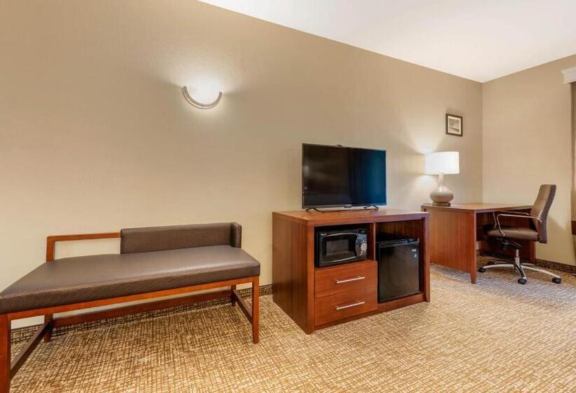 Люкс Адаптированный для Инвалидов, Comfort Inn & Suites