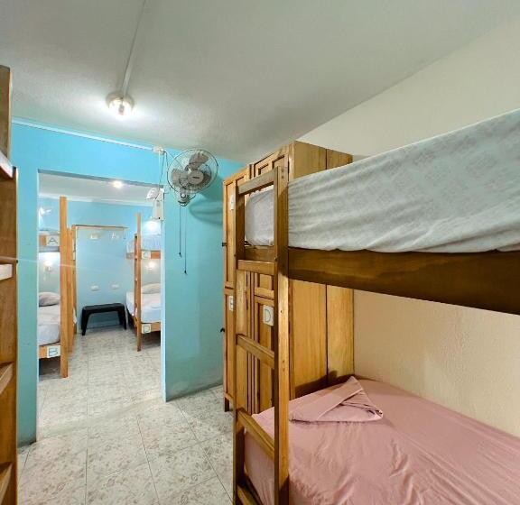 共用房间的床, Hostel Samara
