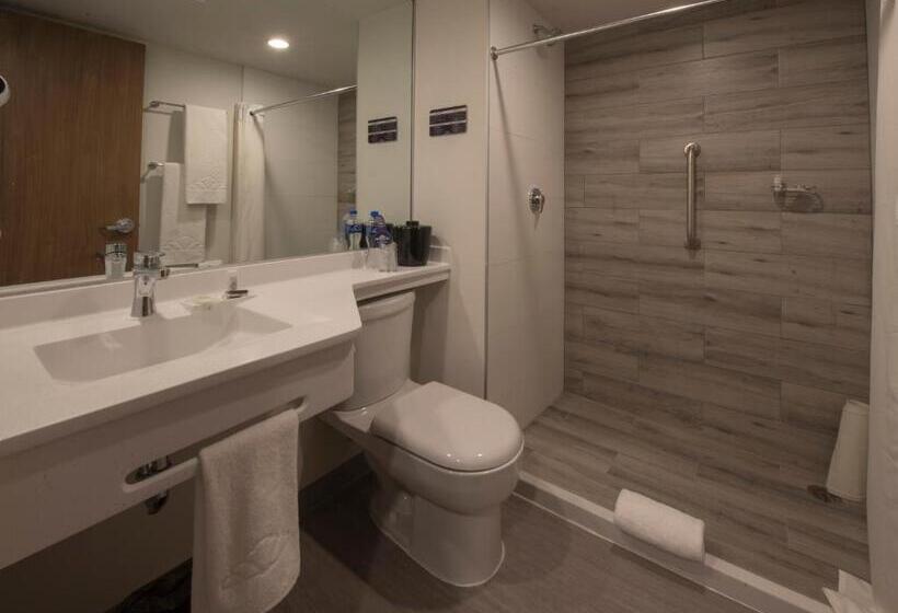 身障者適用スタンダードルーム, Microtel Inn & Suites By Wyndham Irapuato