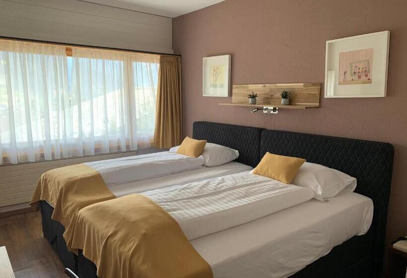 Номер Стандартный с Видом, Chalet Hotel Beau Site