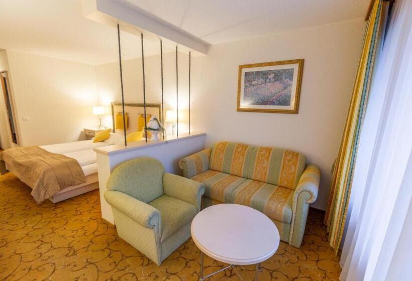 Номер Deluxe Вид на Горы, Chalet Hotel Beau Site