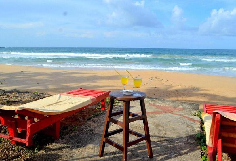 豪华海景房, New Seaside Inn Hikkaduwa