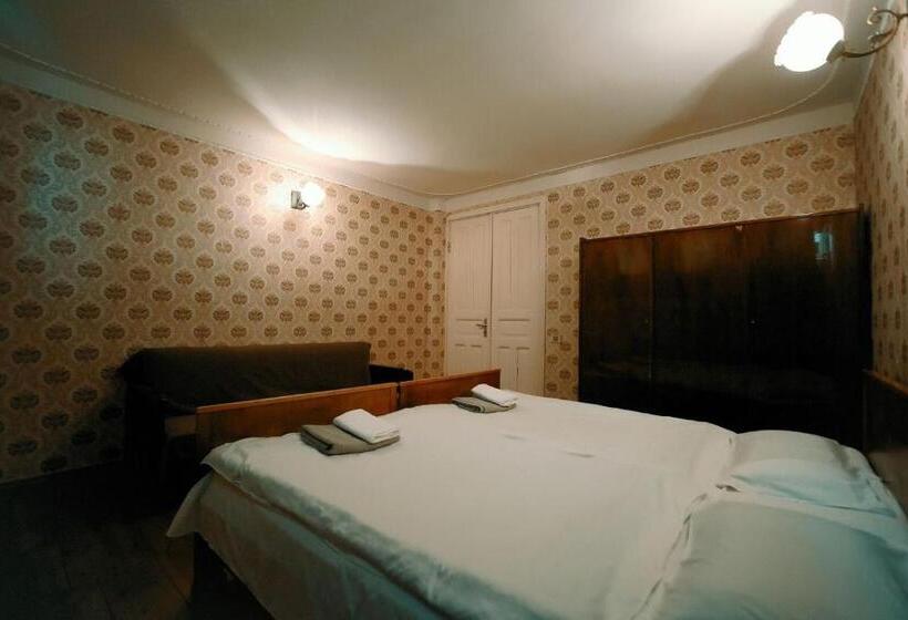 اتاق استاندارد با سرویس بهداشتی مشترک, Guest House Old Kutaisi