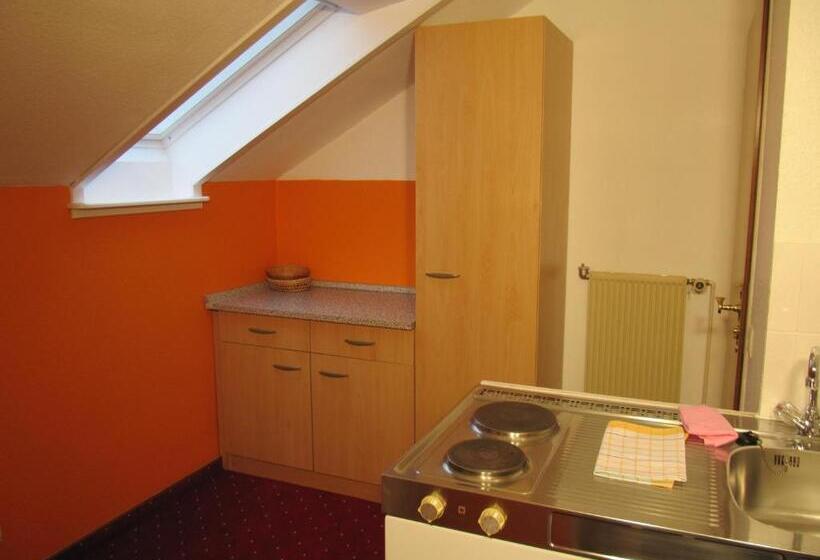 Апартаменты 1 Спальня, Pension Marie Luise, Hotel Garni