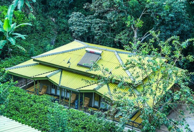 Семейный Номер Superior, Train View Chalet