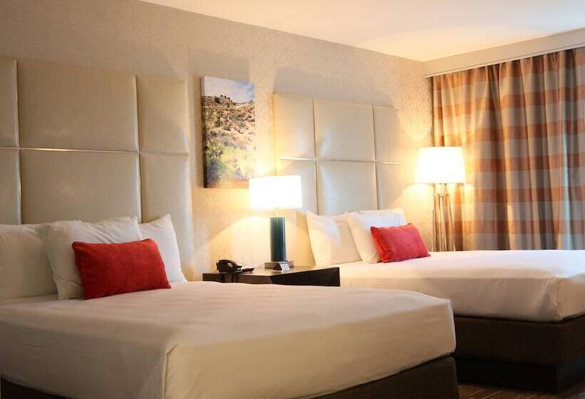 اتاق لوکس, Avi Resort & Casino