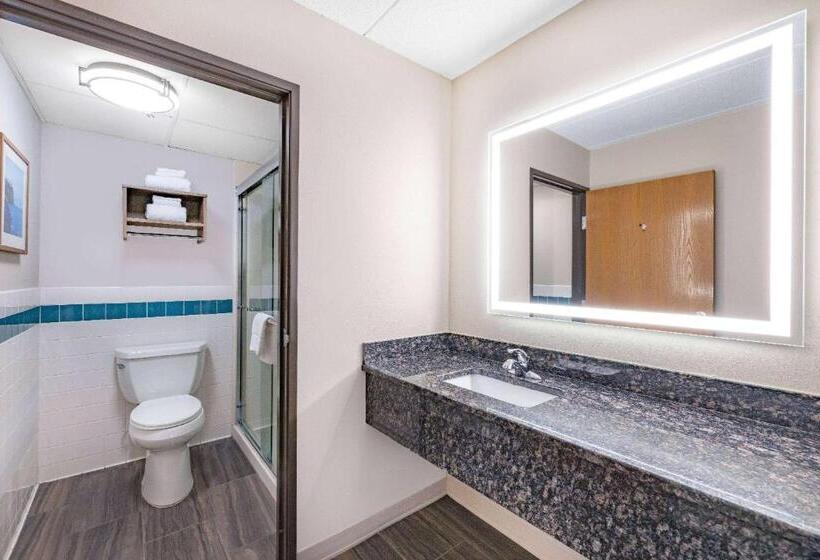 Студио Стандарт Кровать Кинг, Americinn By Wyndham Duluth South Proctor Black Woods Event Ctr