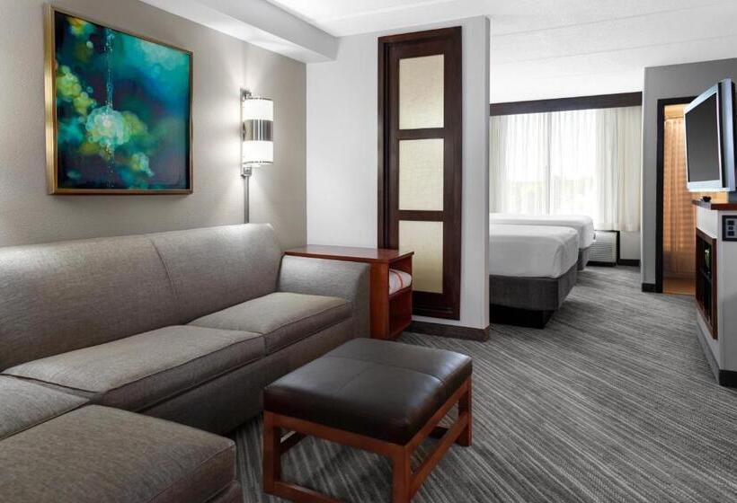 스탠다드 룸 더블 침대 2개, Hyatt Place Secaucus