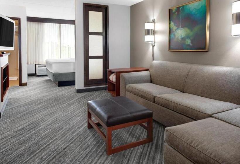 스탠다드 룸 킹사이즈 침대, Hyatt Place Secaucus