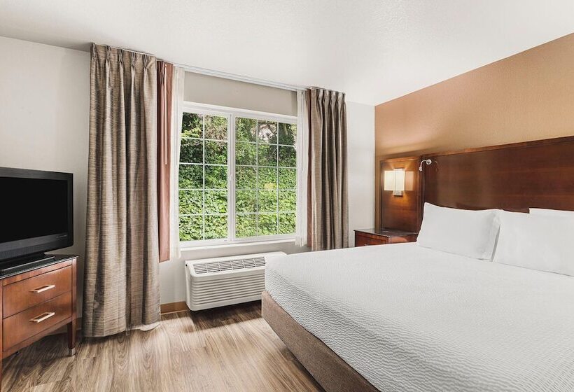 Полулюкс, The Ashley Inn & Suites