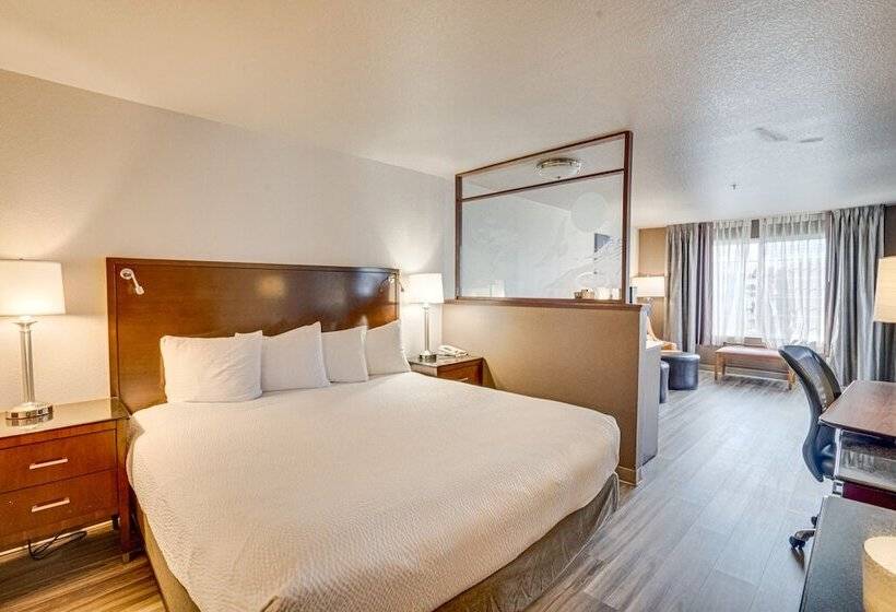 Полулюкс, The Ashley Inn & Suites