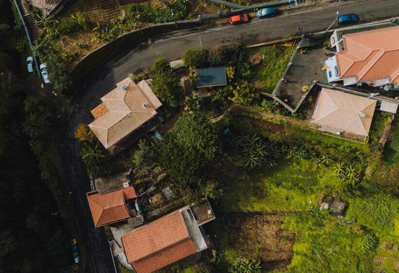 اتاق استاندارد, Madeira Surf Lodge