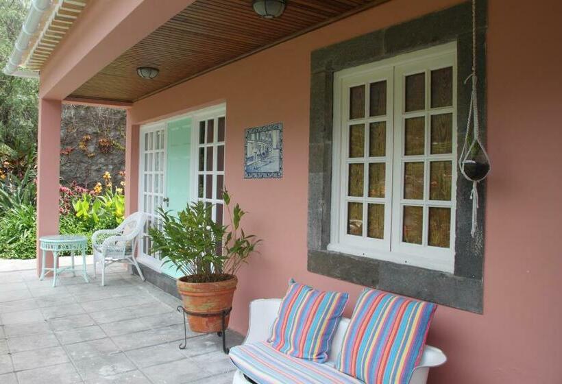اتاق استاندارد, Madeira Surf Lodge