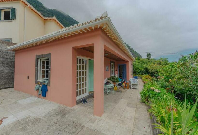 اتاق استاندارد, Madeira Surf Lodge