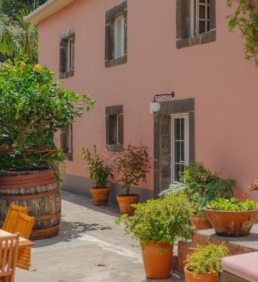 اتاق استاندارد, Madeira Surf Lodge
