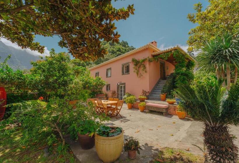 Quarto Estandar, Madeira Surf Lodge