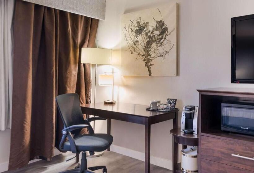 חדר סטנדרט, Best Western Mountain View Inn