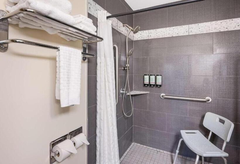Номер Стандарт Кровать Кинг Адаптированный для Инвалидов, Best Western Mountain View Inn