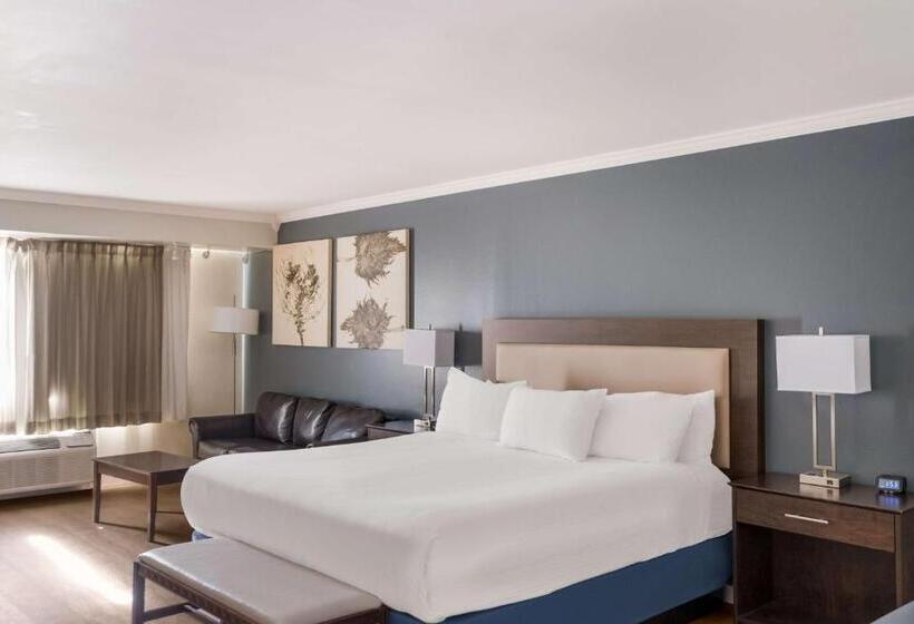 חדר סטנדרט עם מיטת קינג, Best Western Mountain View Inn