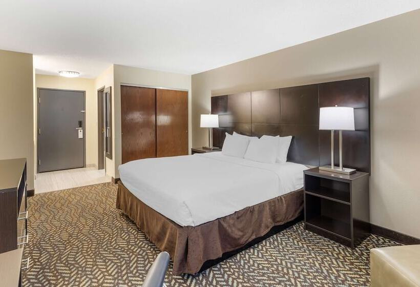 Номер Стандарт Двуспальная Кровать, Best Western St. Louis Inn