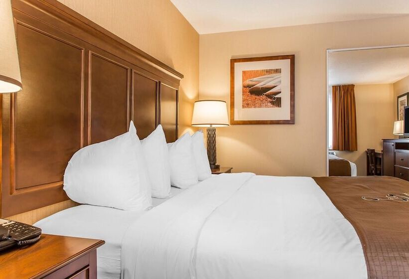 스탠다드 룸 킹사이즈 침대, The Black Swan Lee   Lenox, Ascend Hotel Collection