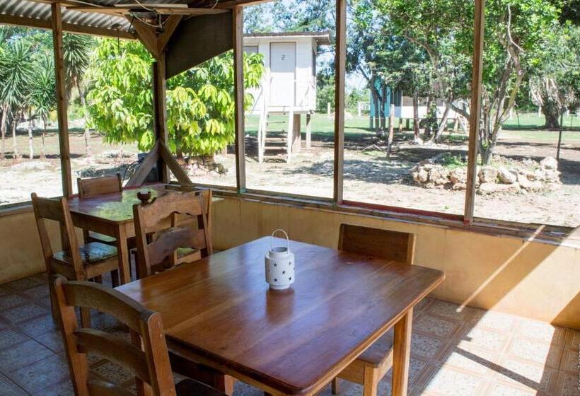 ویلای استاندارد با چشم‌انداز باغ, Horse Cottage