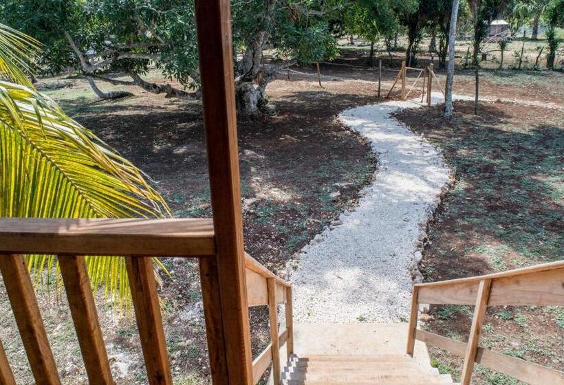 ویلای استاندارد با چشم‌انداز باغ, Horse Cottage