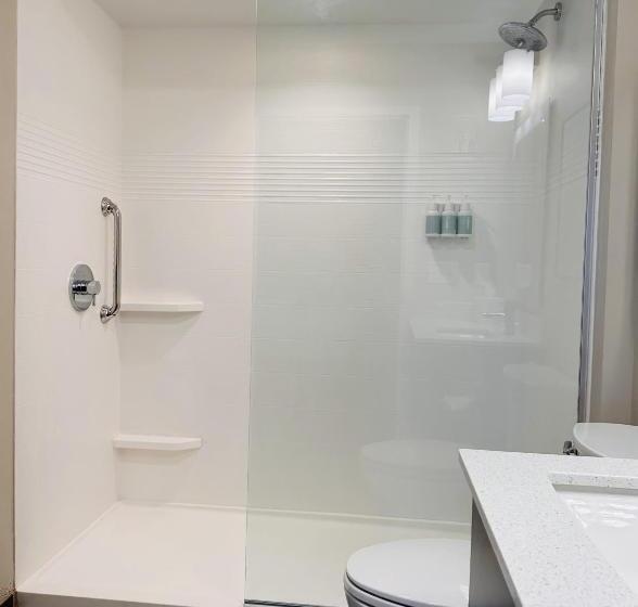 Люкс Кровать Кинг, Towneplace Suites By Marriott Clinton