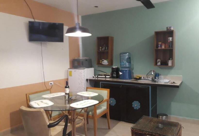 استودیوی استاندارد, Bea Rooms And Studios