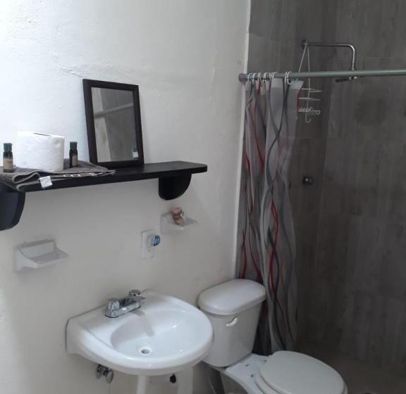 اتاق لوکس, Bea Rooms And Studios