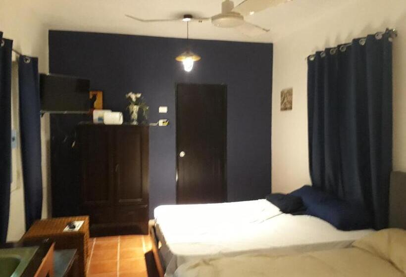 استودیوی لوکس, Bea Rooms And Studios