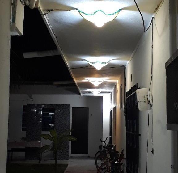 استودیوی استاندارد, Bea Rooms And Studios