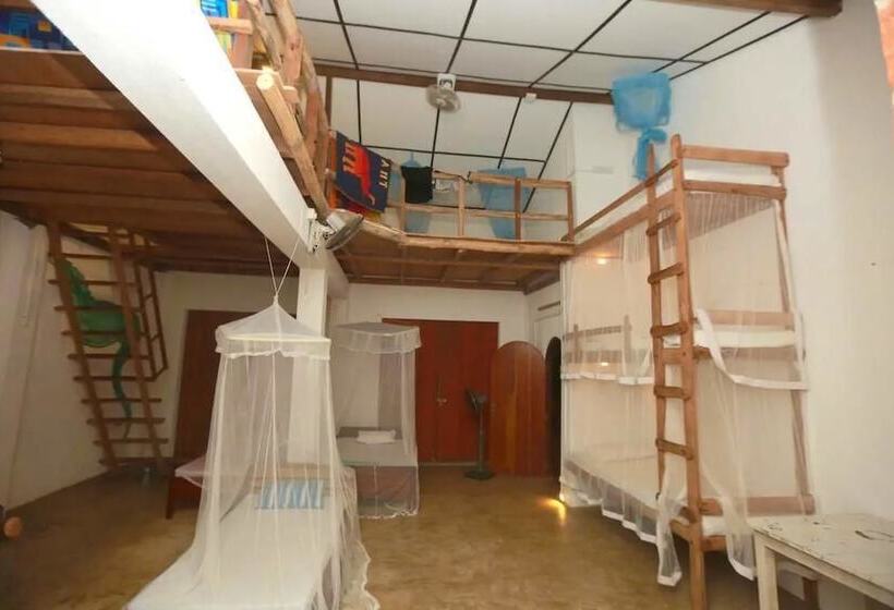 Cama em Quarto Compartilhado, Pearl Villa Rooms And Hostel