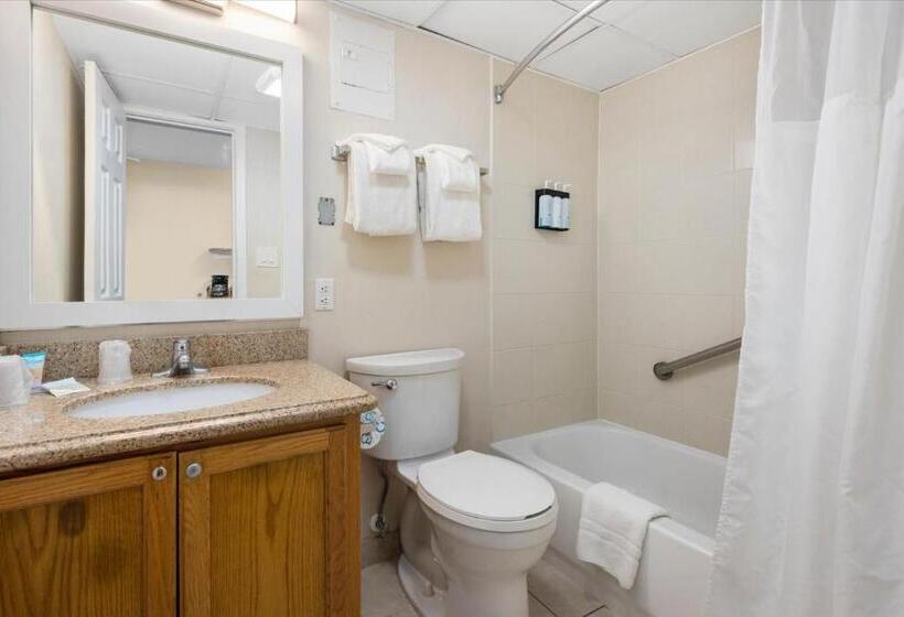 اتاق استاندارد با چشم‌انداز دریا, Carousel Resort Hotel And Condominiums