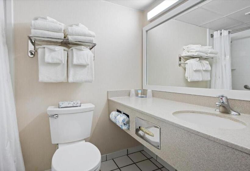 اتاق استاندارد, Carousel Resort Hotel And Condominiums