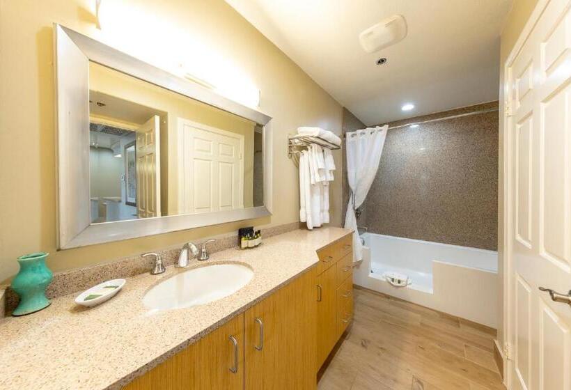 Люкс, Capistrano Surfside Inn